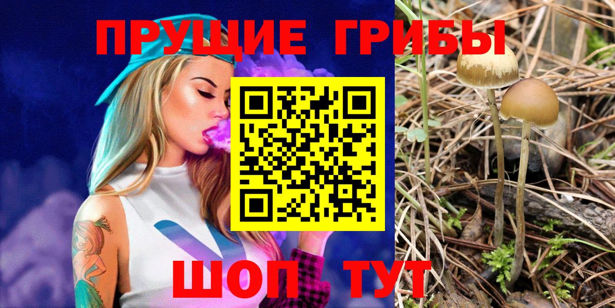 Ступино  Галлюциногенные грибы прущие грибы  Вход с VPN  Галлюциногенные грибы мухоморы 